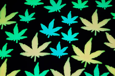 24 Piece Glow in the Dark Multicolor Marijuana Pot Leaves Wall Ceiling Decor